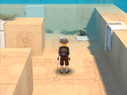 Labirintul templului